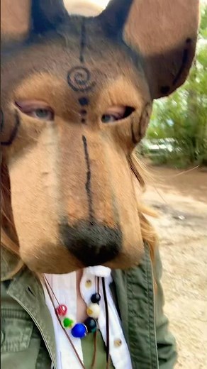 Ren fair vids #therian #renaissance #therianthropy #theriangear #renfair