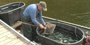 A recap of the 2023 walleye fishing year