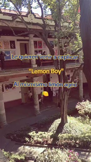 The Sour Lemon: A Deep Dive into Cavetown's 'Lemon Boy'