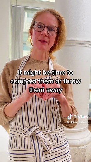 Signs to Replace Old Spices: A Guide by Rosie Gill