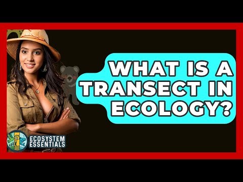 What Is A Transect In Ecology? - Ecosystem Essentials