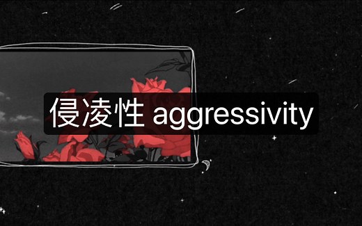 拉康精神分析辞典：侵凌性 aggressivity