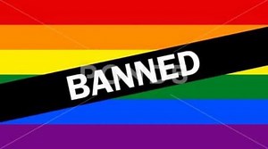 BREAKING: Toyota has announced it will no longer sponsor LGBTQ parades and events and will no longer make efforts to promote diversity, equity, and inclusion (DEI). #fypシ゚viralシ #fypviralシ #foryoupageシforyou #fypシ #foryoupageシ #foryouシ #jacquelineonthescene #MissMe #lgbtqia #lgbtqiaplus | Jacqueline On The Scene
