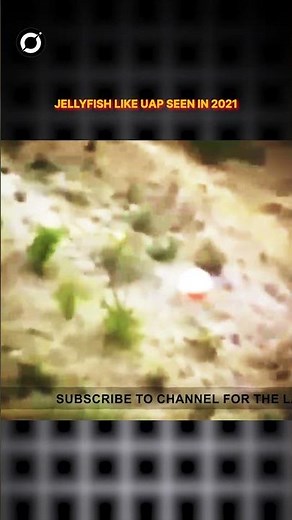 Jellyfish-Like UAP Spotted in 2021 | Strange UFO Caught on Camera #shortsfeed #alien #space