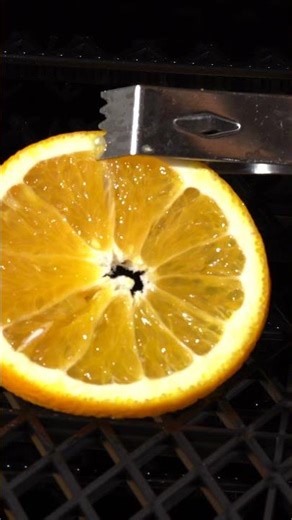 Chocolate Dehydrated Oranges Using Weston Brands 10 Tray Dehydrator