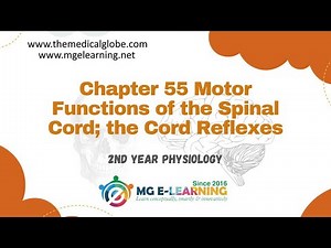 Motor Functions of the Spinal Cord; the Cord Reflexes |Chapter 55| |Motor & Integrative Neurophysio|