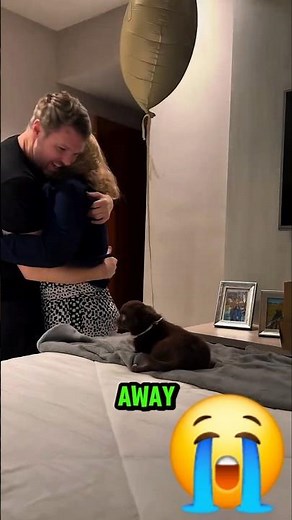 Surprising My Wife With a Puppy!