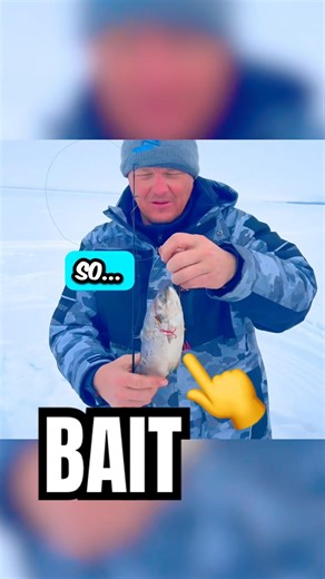 BIG FISH need BIG BAIT! 🎣 #icefishing #laketrout