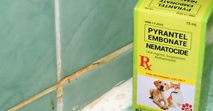 CATZILLA: Pyrantel Embonate Nematocide/Dewormer For Cats and Dogs