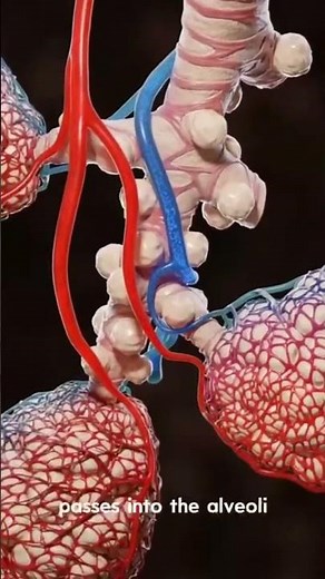 How to Stop Vomiting Naturally | Simple Remedies at Home