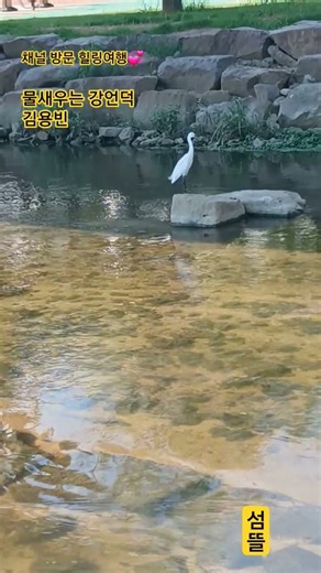 물새우는 강언덕 #김용빈 #추억의트로트풍경