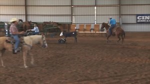 32K views · 1.3K reactions | "Let your horse process what is happening." -Rich Skelton totalteamroping.com | Total Team Roping | Facebook