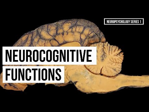 Overview of Neurocognitive Functions (Series 1)