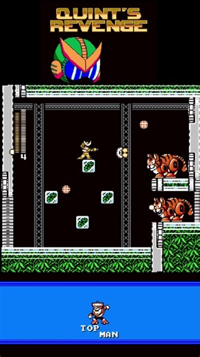 Qunt's Revenge: A Retro Mega Man Adventure