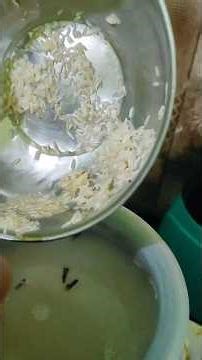 Quick Veg Biryani #shorts #howtomakechocolateathome