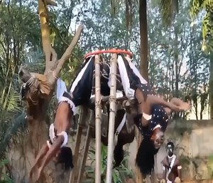 8.2K views · 97 reactions | Amazing funny clip, how can they stand up with long legs | 35728564532 | Facebook