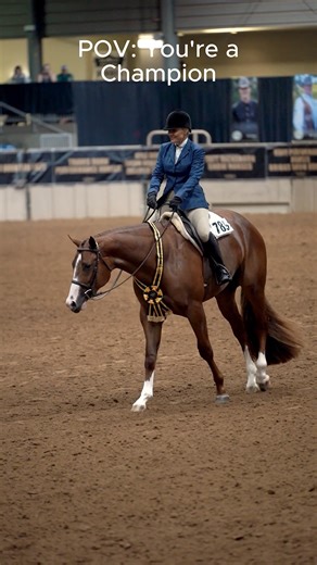 190K views · 2.2K reactions | A girl that can 풅풐 풃풐풕풉 ✌ #NSBAWorldShow2025 | #RideIntoHistory | National Snaffle Bit Association | Facebook