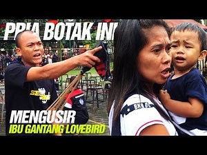 Jangan Kaget : PRIA BOTAK Ini TEGA Mengusir Ibu Gendong Anak JOKI Lovebird KEN KEN