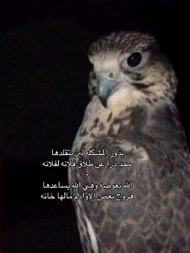 ‏#viral #foryou #fyp #fypシ゚ #صقور_السعودية