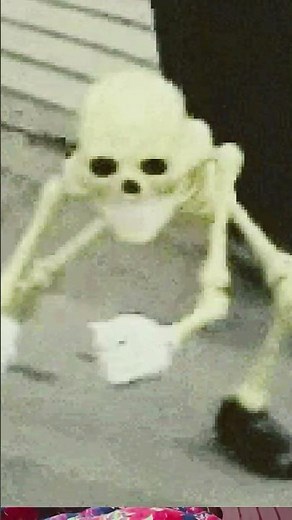 The basics of an iPhone