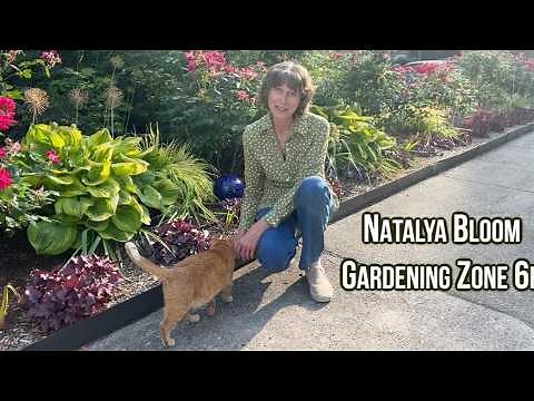 An Easy Way to Grow Hosta from Seed