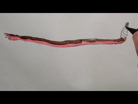 Easy Rattlesnake Drawing for Kids 🐍 | Step by Step Snake Drawing | Dishaan’s World