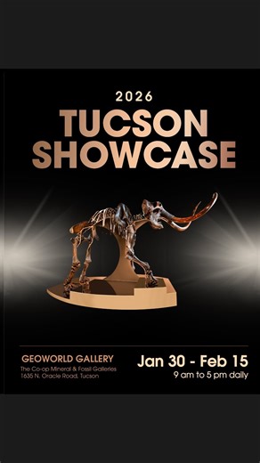 Geoworld Gallery | Join us for our 2026 Showcase and the debut of the Geoworld Prestige Collection. We look forward to welcoming you into the gallery during... | Instagram