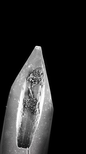 I found this old rusty syringe in my lab and I wanted to zoom on the tip of it. What do you think? Surely modern syringes are better looking and more “smooth”. #syringe #medicine #learnontiktok #microscope #macro #zoom #science #needle