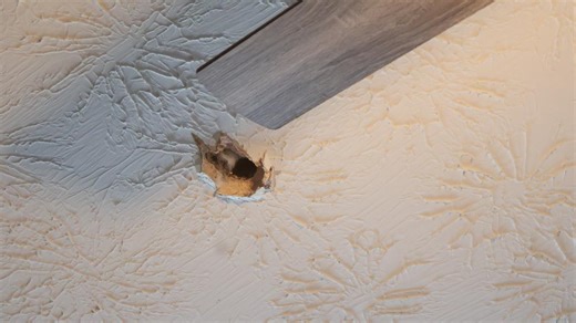 Photos | Meteorite believed to have punctured hole in roof of Henry County home