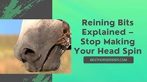 Reining Bits Explained Stop Making Your Head Spin
