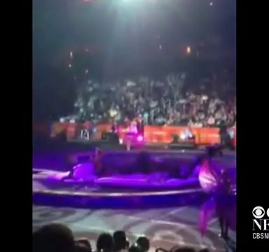 Spectator records shocking fall of acrobats during Ringling Bros. circus performance