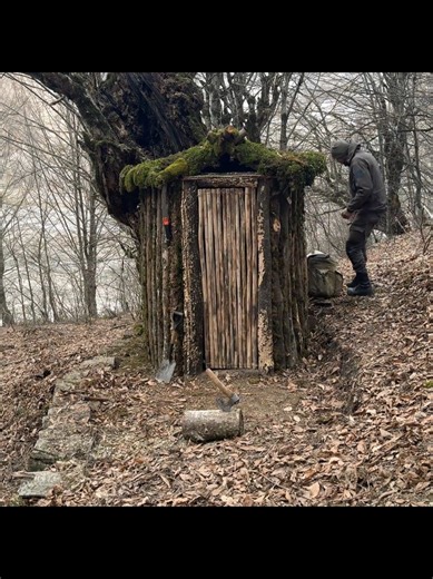Building a Survival Shelter in the Wild Forest
