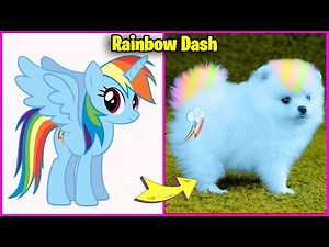 My Little Pony Becomes Dog 😱 MLP If Were Dog In Real Life