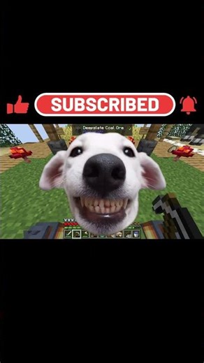 I Survived 100 Days on ONE BLOCK in MINECRAFT (Ep.23)