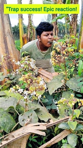 "Epic Parrot Trap Reaction! #comedy #funny #birds