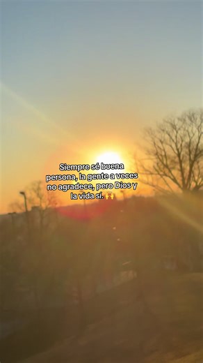 Transform Your Life with the Zero to Hero Program