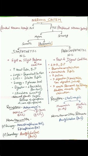 division of Autonomic nervous system , function and more #coremedicalscience #education #pharmcology