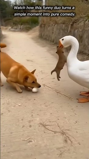 Dog vs Goose! The Funniest Animal Showdown Ever 😂