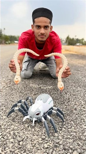 Rc Snake Vs Remote Control Spider Ki Unboxing