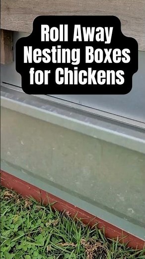 Roll Away Nesting Boxes for Chickens - Chicken Nesting Boxes Roll Out #backyardchickens #chickencoop