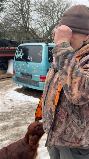 Zdeněk Machař on Instagram: "Jimmy irský setr"