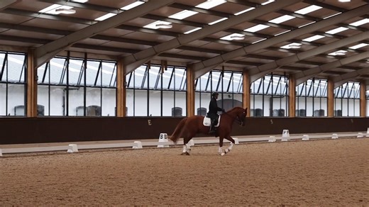 42K views · 504 reactions | Test riding is an important part of training, Spencer Wilton and Darren Hicks share some useful insights into how riding tests at home can benefit your results on the day in the latest edition of the digital BD Magazine 盧 Read the full article here https://bit.ly/BDMag-ChampionshipsSpecial | British Dressage | Facebook