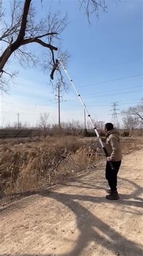 Sharp Cutter use in Tree Sticks Cutting #woodscraft