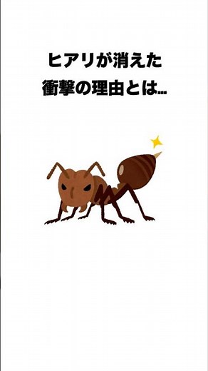 ヒアリが消えた衝撃の理由とは… #雑学 #プチ知識 #豆知識 #いらすとや #voicevox