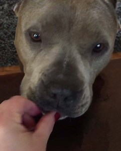 Frozen blueberry eaters. #Sally #Todd | Rebecca Corry