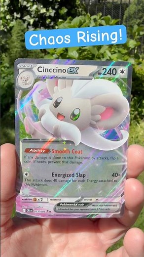 NEW Chaos Rising Cinccino EX Pull ✨ #pokemonchaosrising