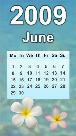 June 2009 Calendar