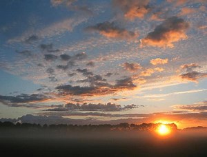 Intensieve cursus Nederlands (B1) volgen | Snel & effectief leren