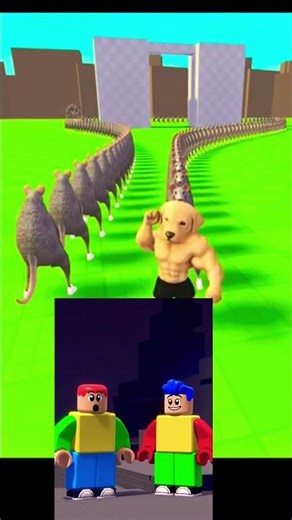 #roblox #itzcutieplayzrobloxedits #viral #memes #robloxfriends