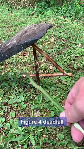 Effective Figure 4 Deadfall Trap for Bushcraft and Survival